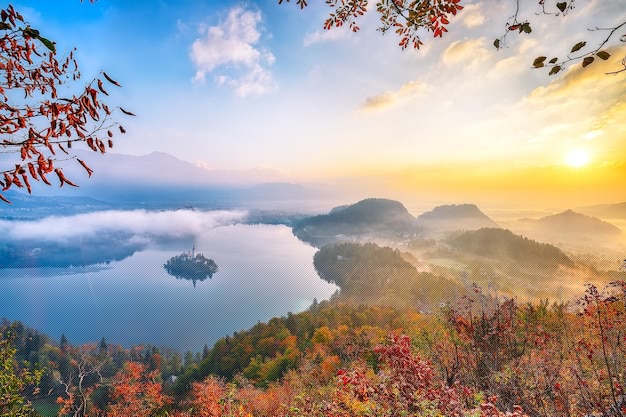 時間線:2025年,這個秘密將改變你的人生!